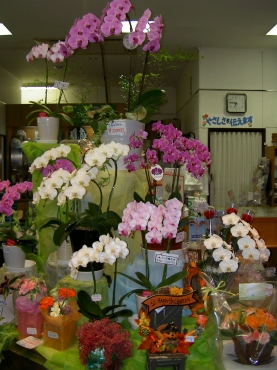 「ちぐさ花店」　（山形県天童市）の花屋店舗写真1